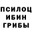 Псилоцибиновые грибы Cubensis Nataliya Sityanova