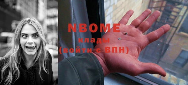 шишки Абаза
