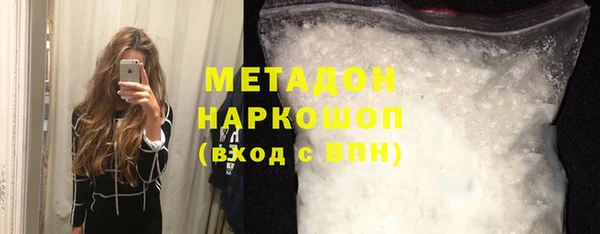 шишки Абаза