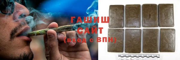 шишки Абаза
