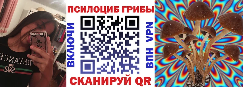 что такое   Алексеевка  Псилоцибиновые грибы мицелий 
